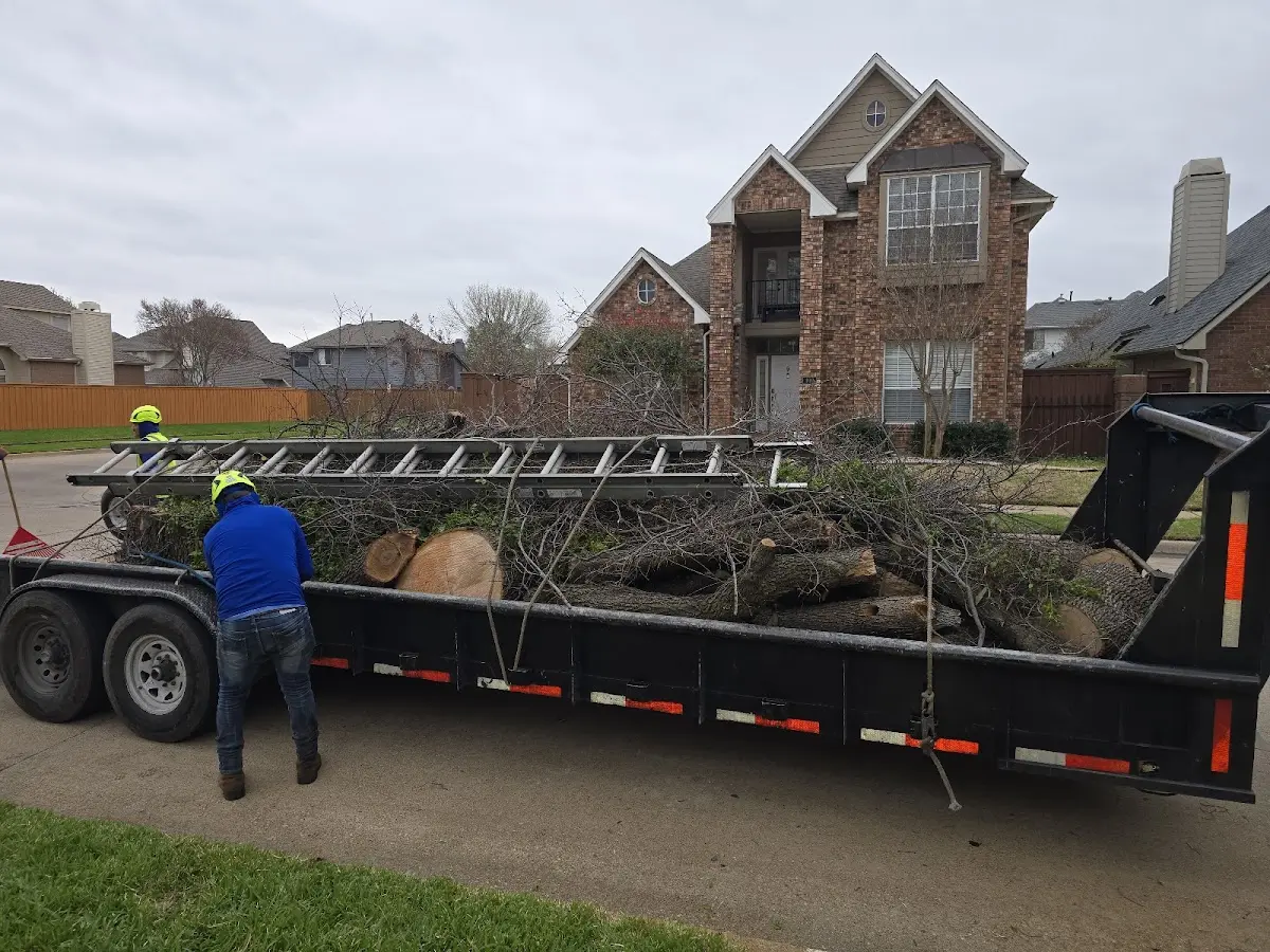 Expert Tree Fertilization with proper safety equipment in Danbury